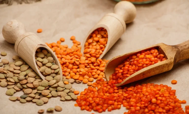 Lentils for Babies: When & How to Introduce Them