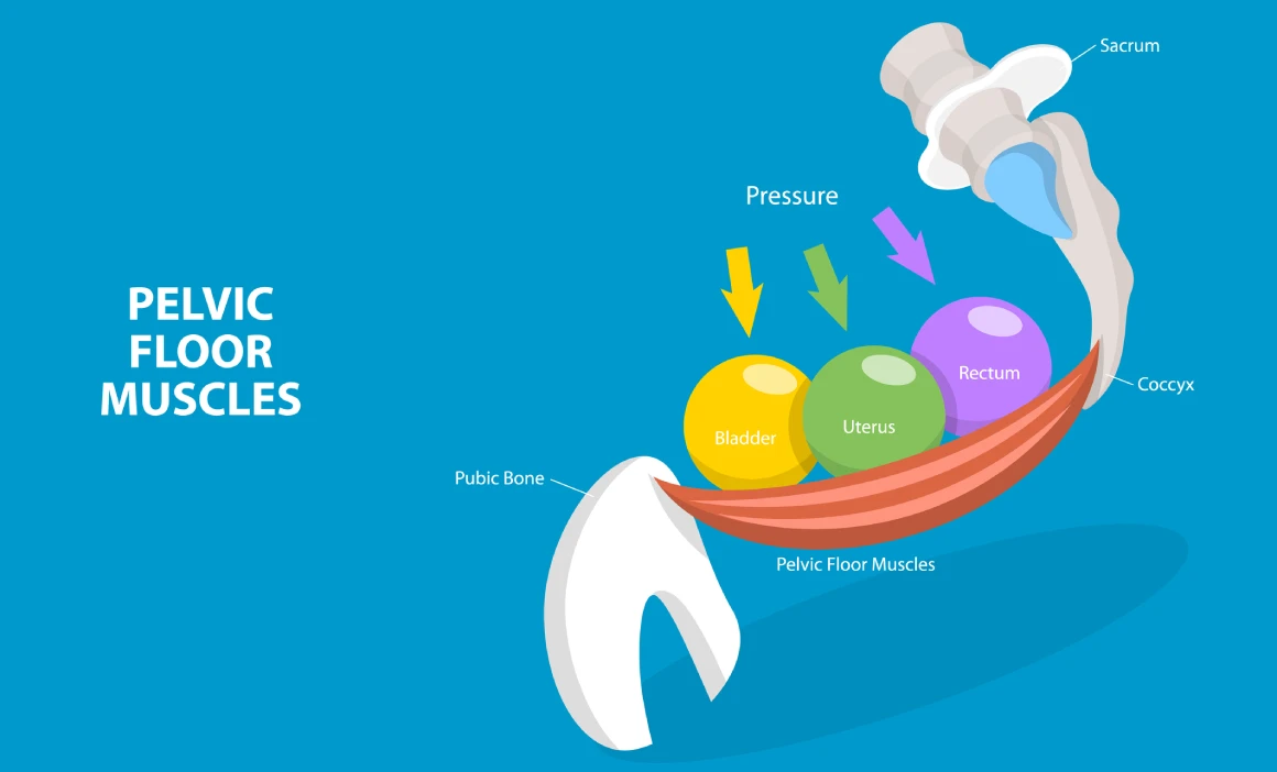 What are Kegel exercises