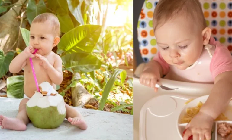 Baby Food Around The World